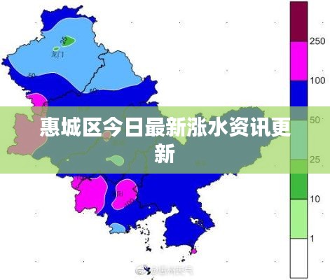 惠城区今日最新涨水资讯更新