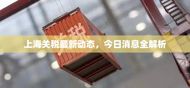 上海关税最新动态，今日消息全解析
