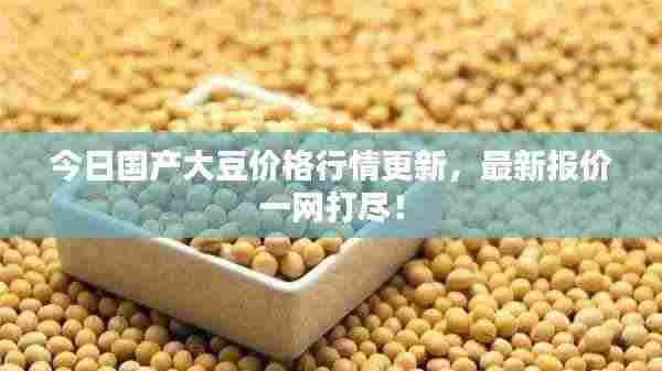 今日国产大豆价格行情更新，最新报价一网打尽！