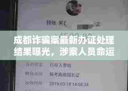 成都诈骗案最新办证处理结果曝光，涉案人员命运揭晓