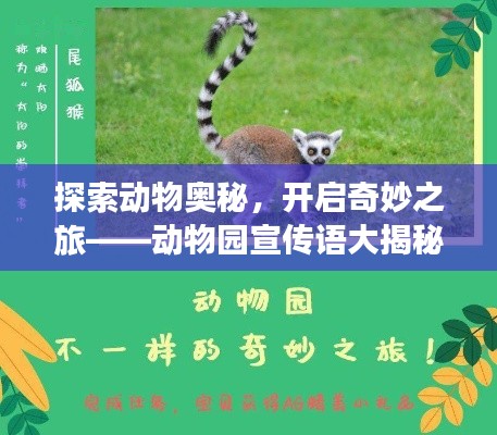 探索动物奥秘，开启奇妙之旅——动物园宣传语大揭秘！