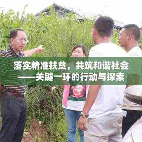 落实精准扶贫，共筑和谐社会——关键一环的行动与探索