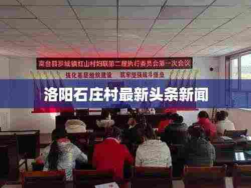 洛阳石庄村最新头条新闻
