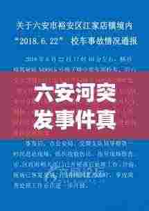 六安河突发事件真相大揭秘，深度解析与探讨