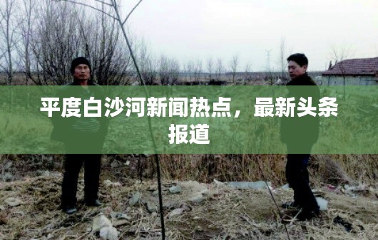 平度白沙河新闻热点，最新头条报道