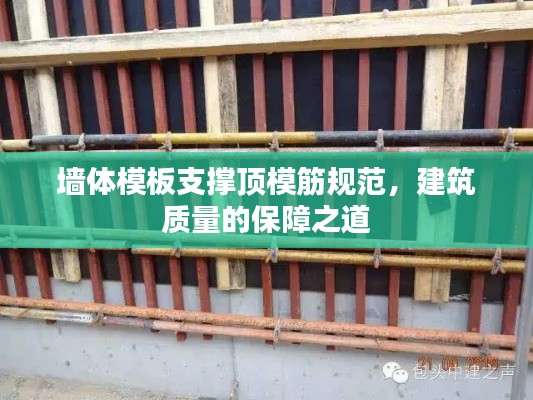 墙体模板支撑顶模筋规范，建筑质量的保障之道