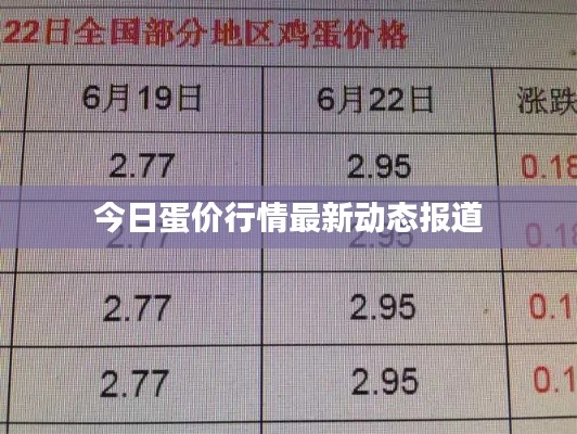 今日蛋价行情最新动态报道