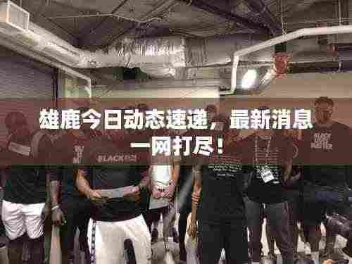 雄鹿今日动态速递，最新消息一网打尽！