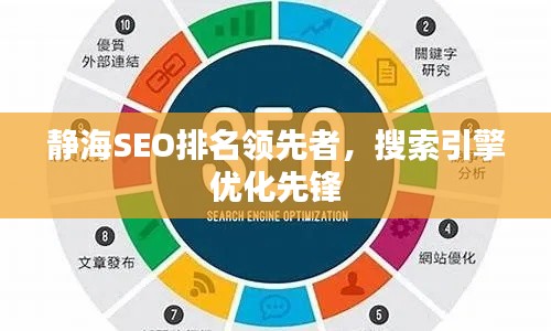 静海SEO排名领先者，搜索引擎优化先锋