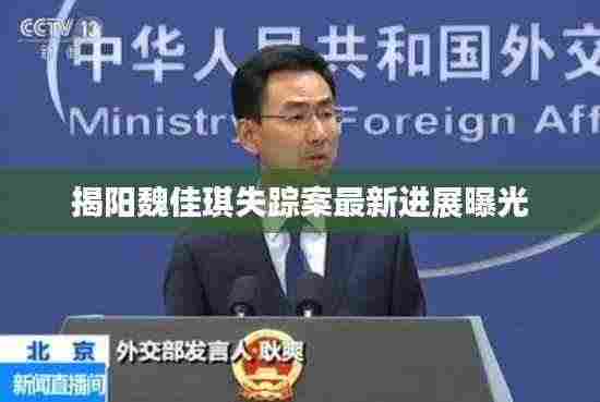 揭阳魏佳琪失踪案最新进展曝光