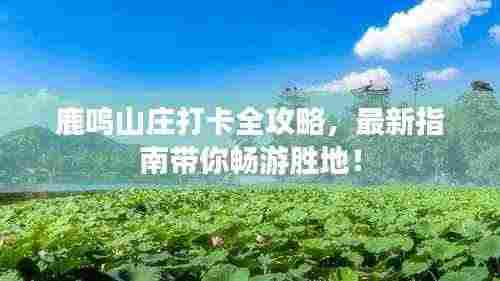 鹿鸣山庄打卡全攻略，最新指南带你畅游胜地！