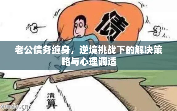 老公债务缠身，逆境挑战下的解决策略与心理调适