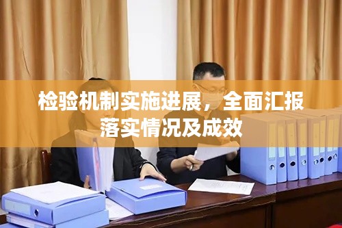 检验机制实施进展，全面汇报落实情况及成效
