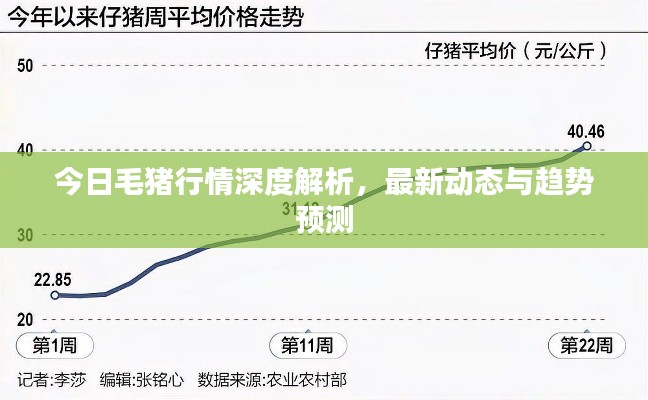 朴素无华 第2页