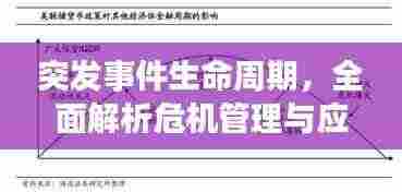 突发事件生命周期，全面解析危机管理与应对之道