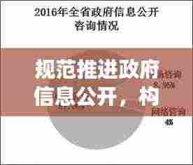 规范推进政府信息公开，构建透明政府的唯一路径