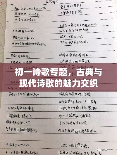 初一诗歌专题，古典与现代诗歌的魅力交织