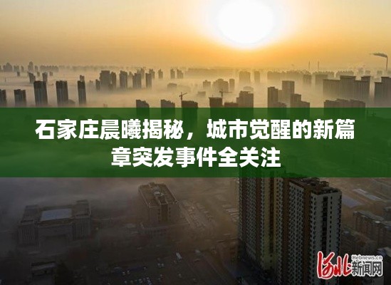 石家庄晨曦揭秘，城市觉醒的新篇章突发事件全关注