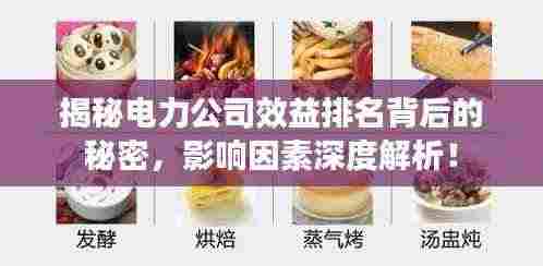 揭秘电力公司效益排名背后的秘密，影响因素深度解析！