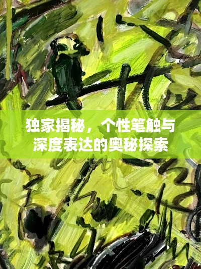 独家揭秘，个性笔触与深度表达的奥秘探索