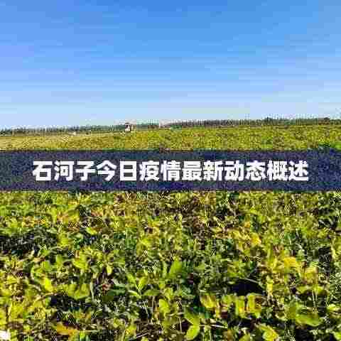 石河子今日疫情最新动态概述