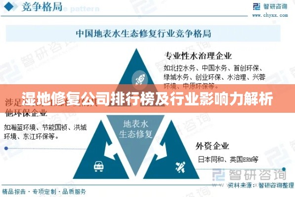 湿地修复公司排行榜及行业影响力解析