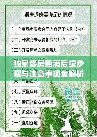 独家售房期满后续步骤与注意事项全解析