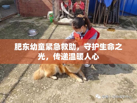肥东幼童紧急救助，守护生命之光，传递温暖人心