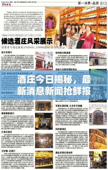 酒庄今日揭秘，最新消息新闻抢鲜报