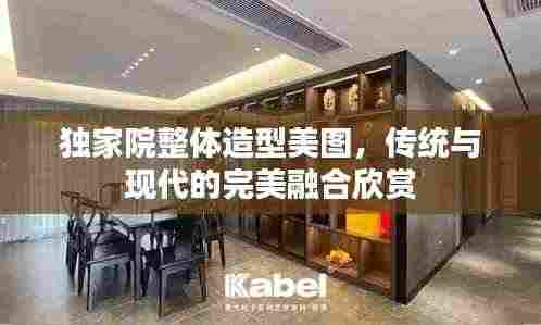 独家院整体造型美图，传统与现代的完美融合欣赏