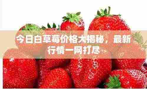 木乾鸟栖 第2页