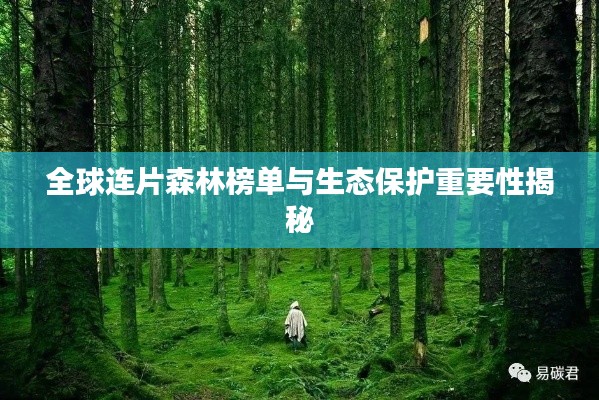 全球连片森林榜单与生态保护重要性揭秘