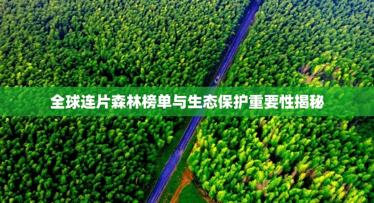 全球连片森林榜单与生态保护重要性揭秘