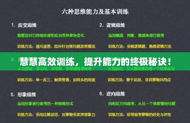慧慧高效训练，提升能力的终极秘诀！