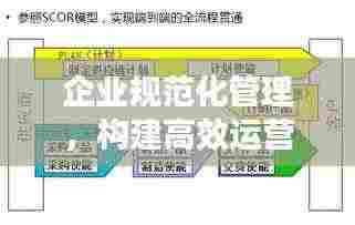 企业规范化管理，构建高效运营体系的关键所在