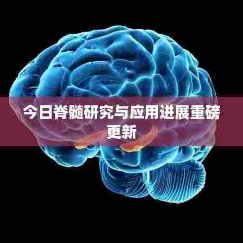 今日脊髓研究与应用进展重磅更新