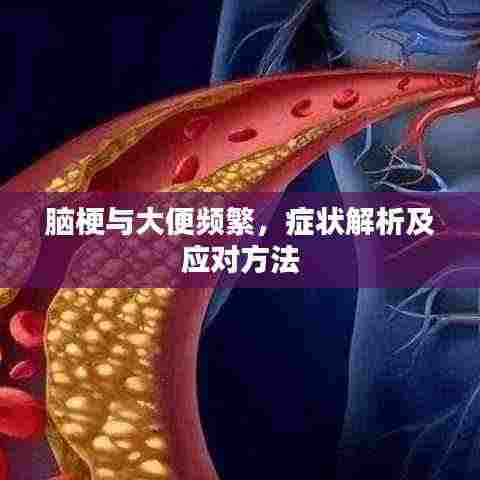 脑梗与大便频繁，症状解析及应对方法