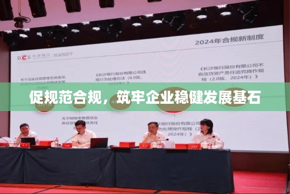 促规范合规，筑牢企业稳健发展基石