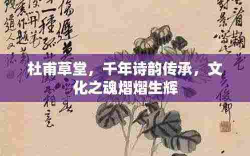 无影无踪 第2页