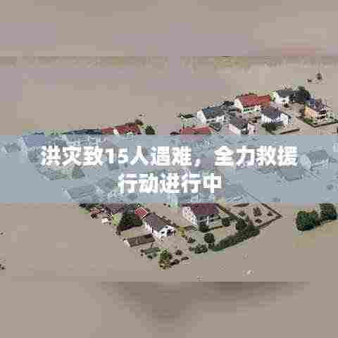 物离乡贵 第3页