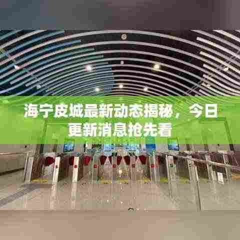 海宁皮城最新动态揭秘，今日更新消息抢先看