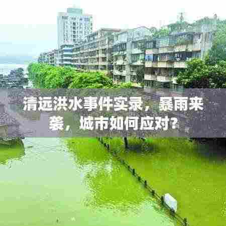 清远洪水事件实录，暴雨来袭，城市如何应对？
