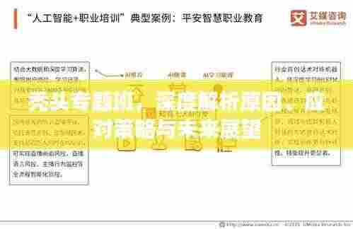 秃头专题班，深度解析原因、应对策略与未来展望