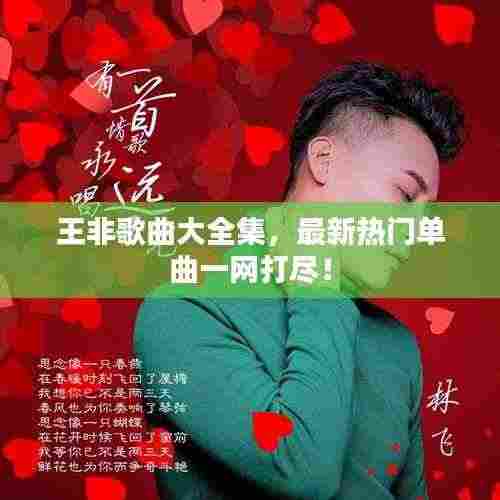 王非歌曲大全集，最新热门单曲一网打尽！
