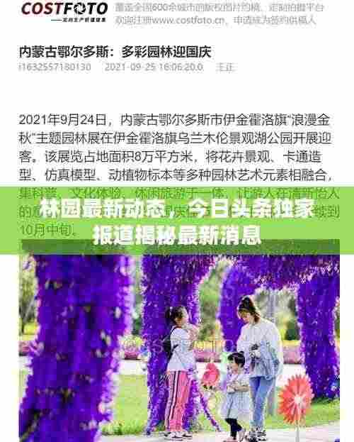 林园最新动态，今日头条独家报道揭秘最新消息