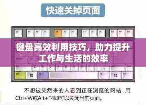 键盘高效利用技巧，助力提升工作与生活的效率