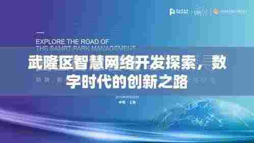 武隆区智慧网络开发探索，数字时代的创新之路