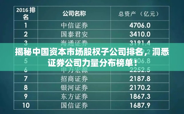 揭秘中国资本市场股权子公司排名，洞悉证券公司力量分布榜单！