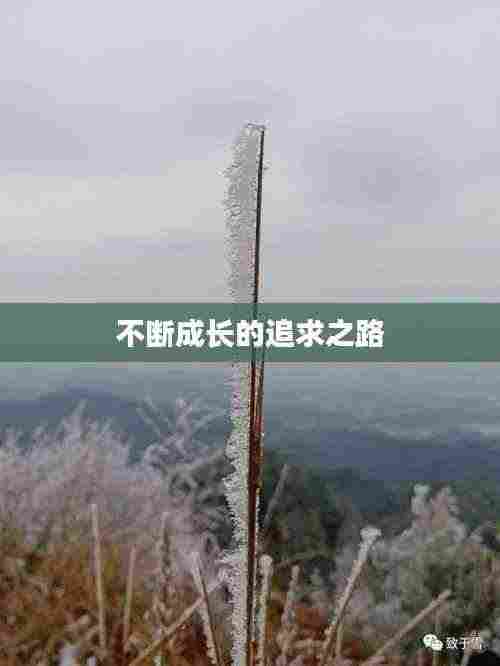 不断成长的追求之路