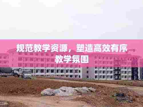 规范教学资源，塑造高效有序教学氛围